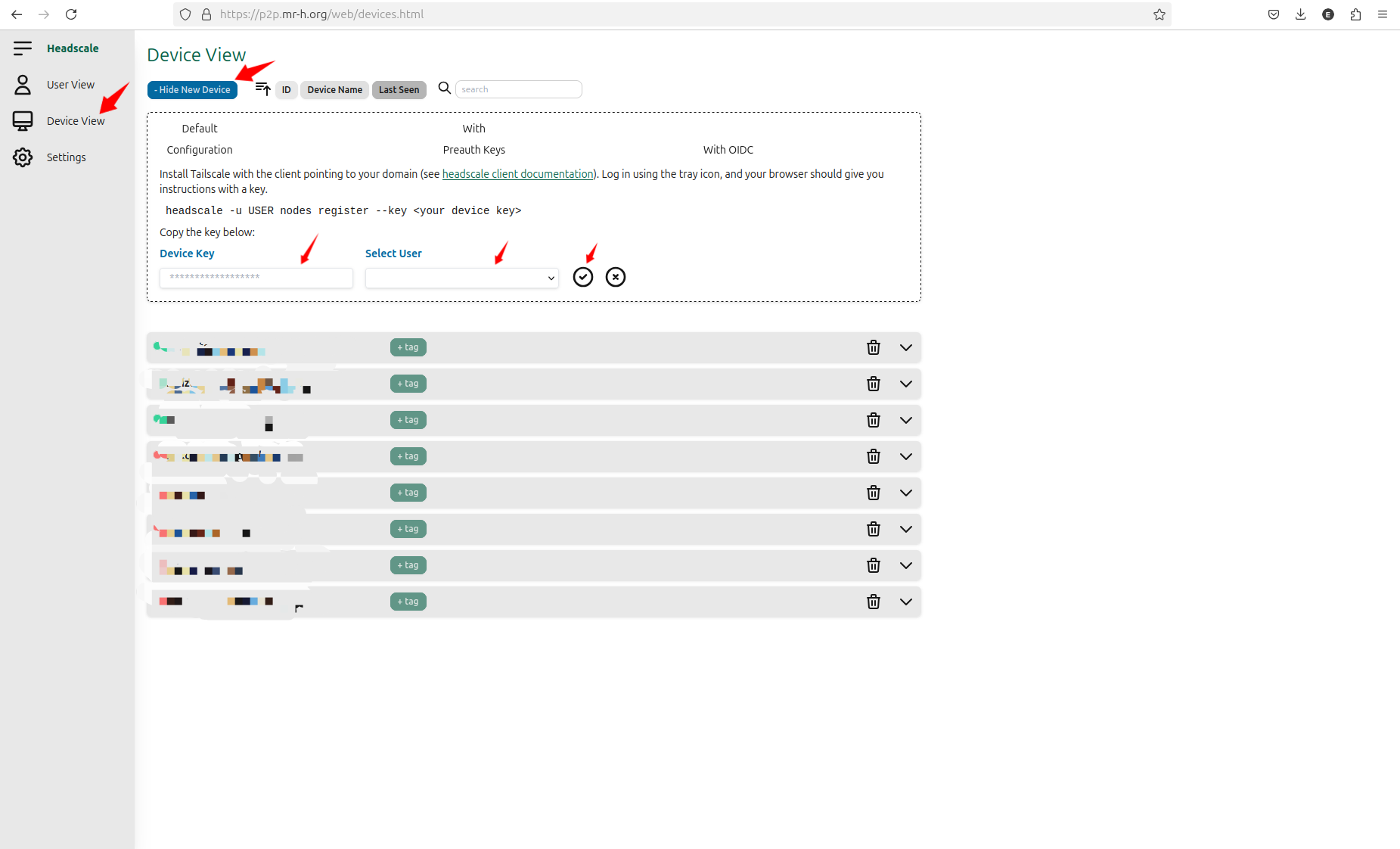 headscale web ui setting